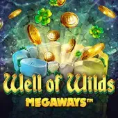 Well of Wilds Megaways game cover